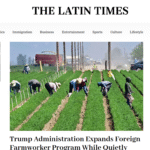 latintimes.com