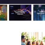 theportablegamer.com