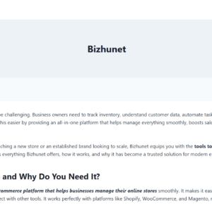 bizhunet.io